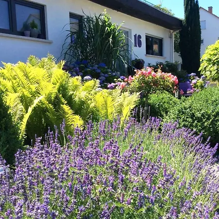 Ferienwohnung Kirschenlohr * Ober-Abtsteinach